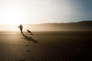5 Tips for Traveling with Your Dog
